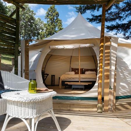 Kerikeri Glamping Hotel Exterior foto
