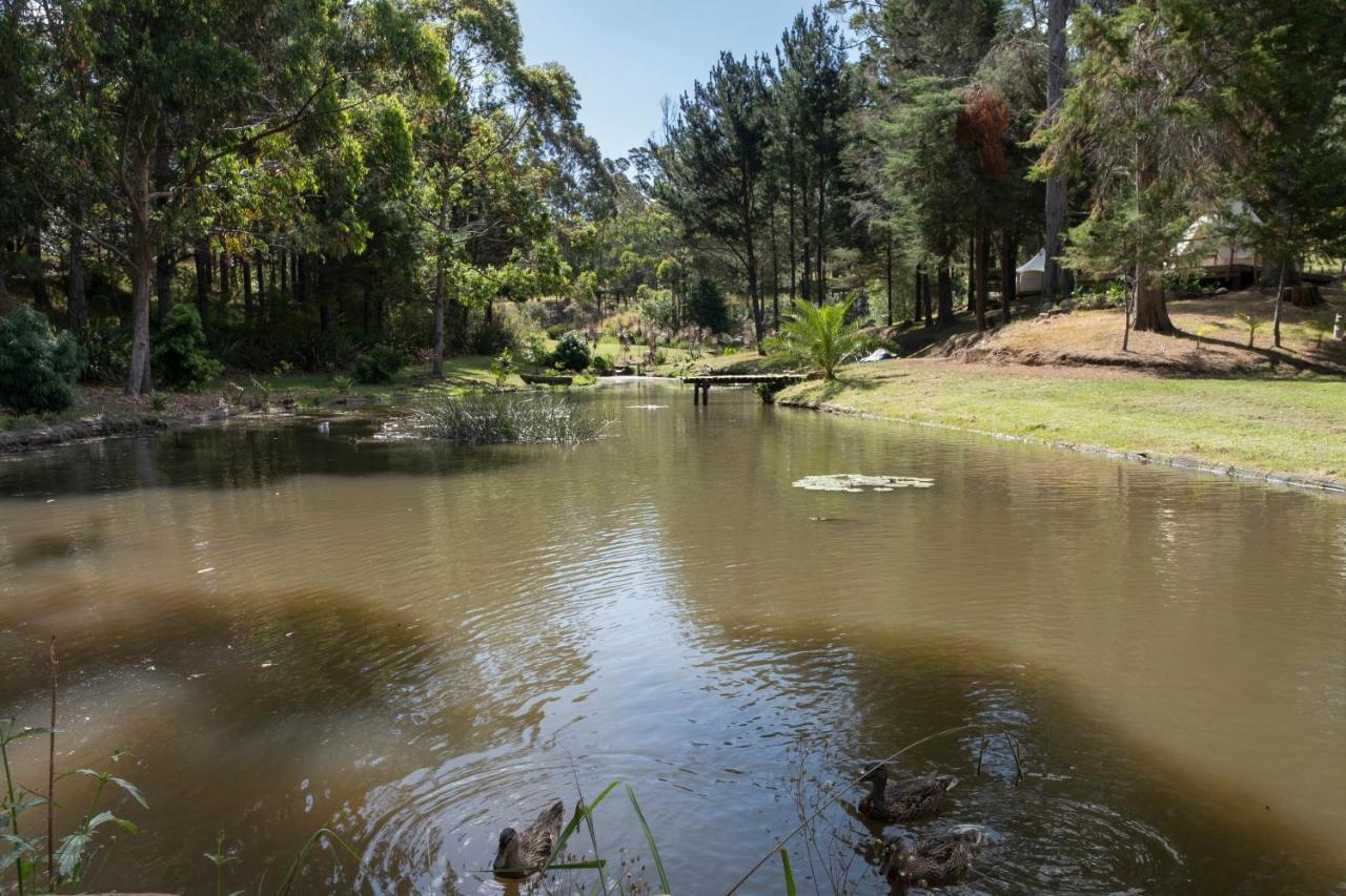 Kerikeri Glamping Hotel Exterior foto