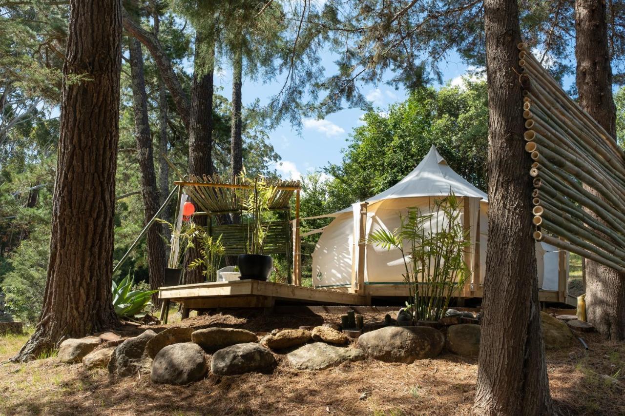 Kerikeri Glamping Hotel Exterior foto