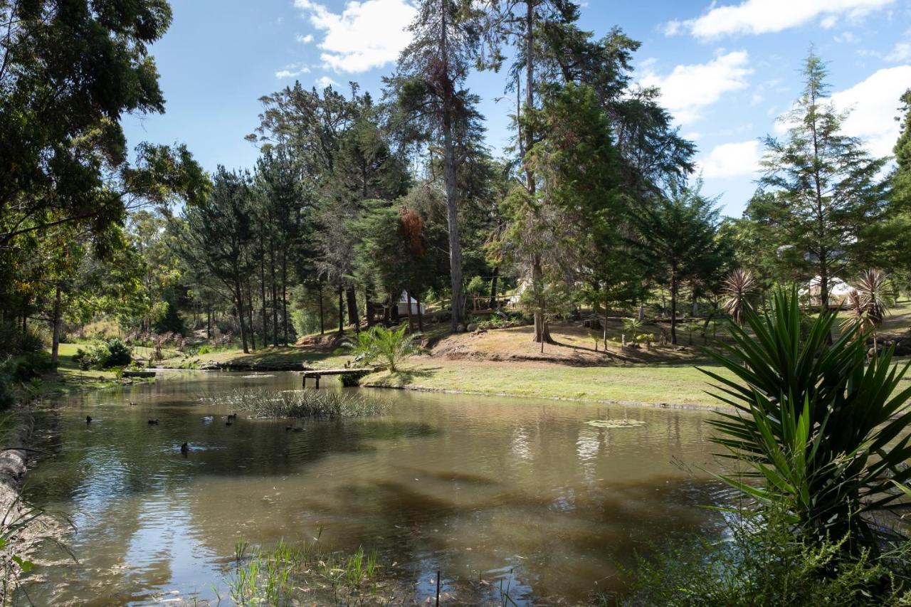 Kerikeri Glamping Hotel Exterior foto
